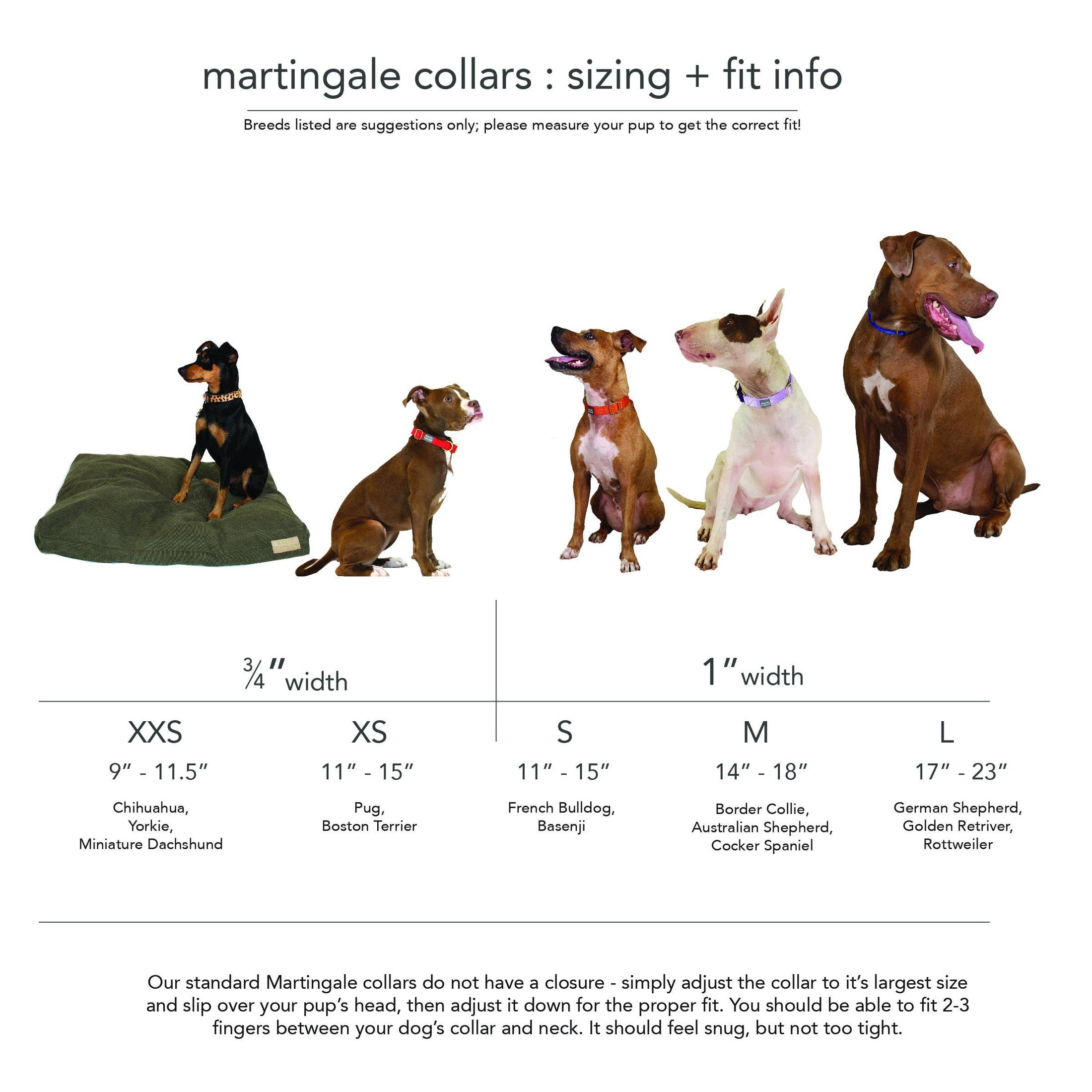 Martingale Collar / Forest + Olive