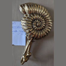 Load image into Gallery viewer, Brass Ammonite Fossil Wall Hook β Coastal Shell Hook, Beach House Bathroom Towel Hanger
