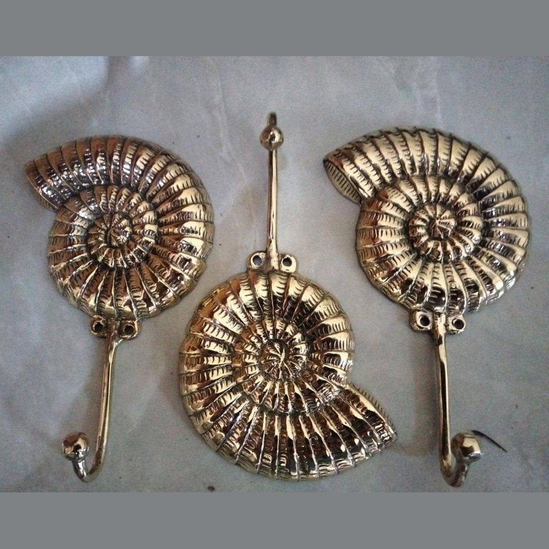 Brass Ammonite Fossil Wall Hook β Coastal Shell Hook, Beach House Bathroom Towel Hanger