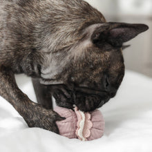 Load image into Gallery viewer, PETITE TWO // ENRICHMENT DOG TOY // snuffle + burrow Set