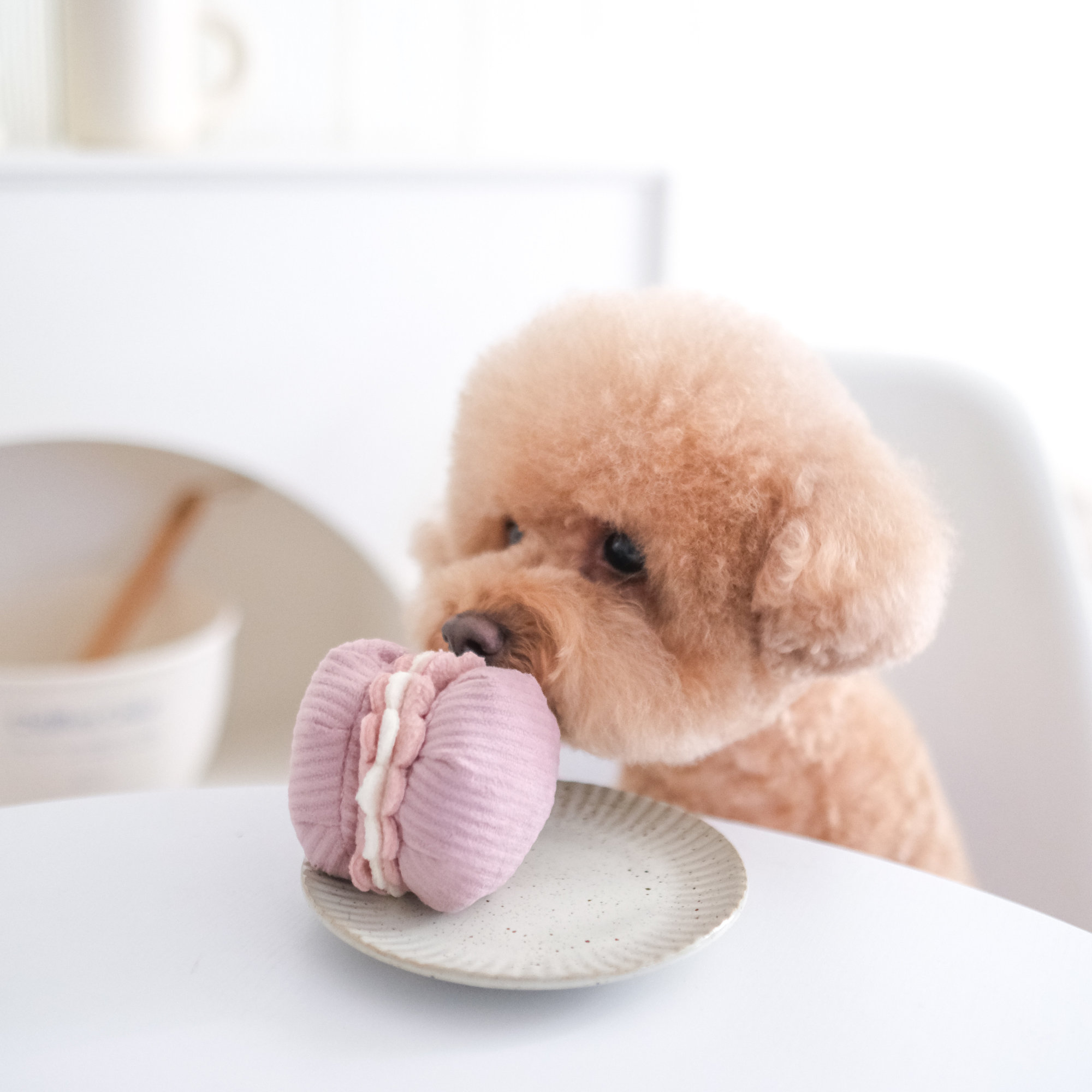PETITE TWO // ENRICHMENT DOG TOY // snuffle + burrow Set
