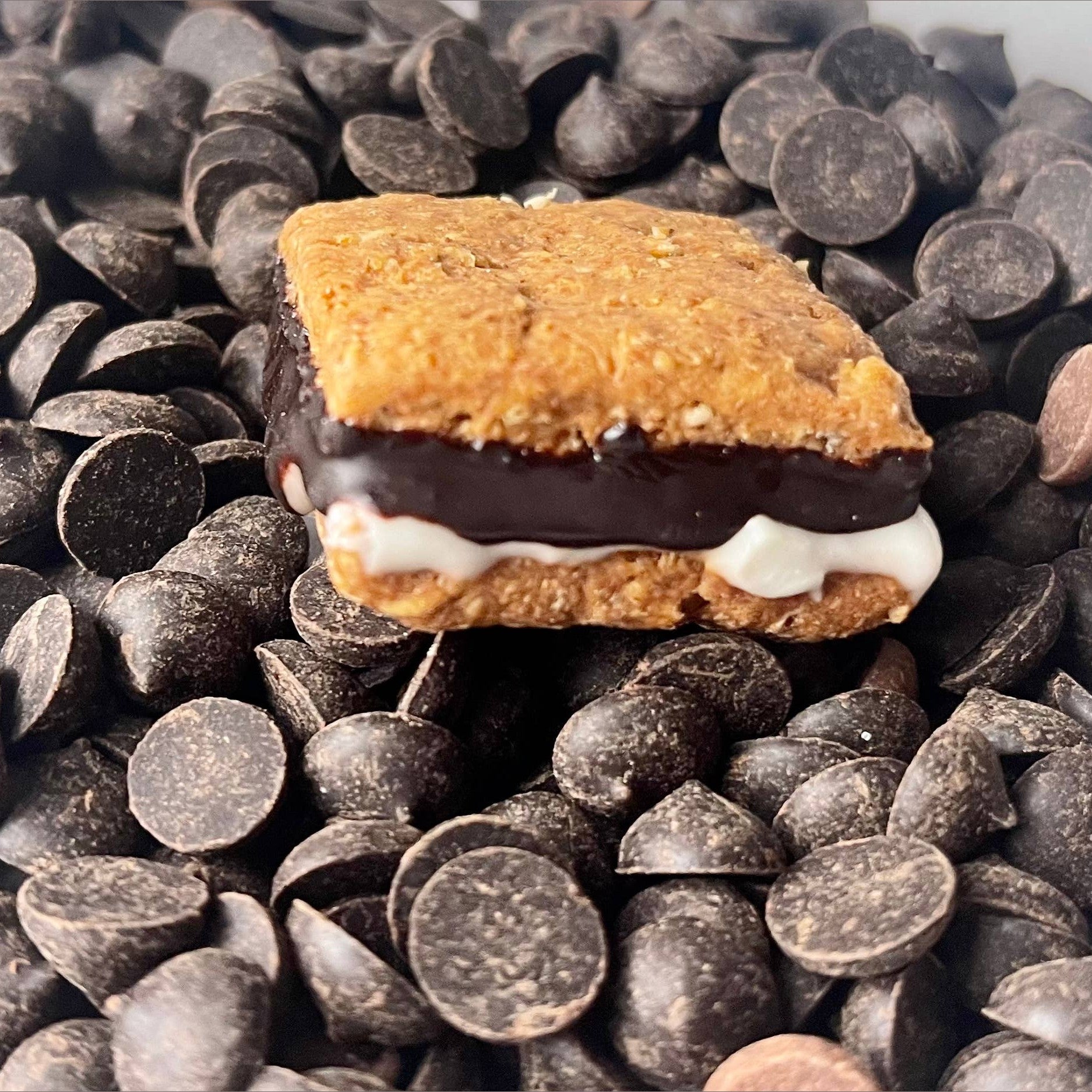 Campfire S’mores dog treats