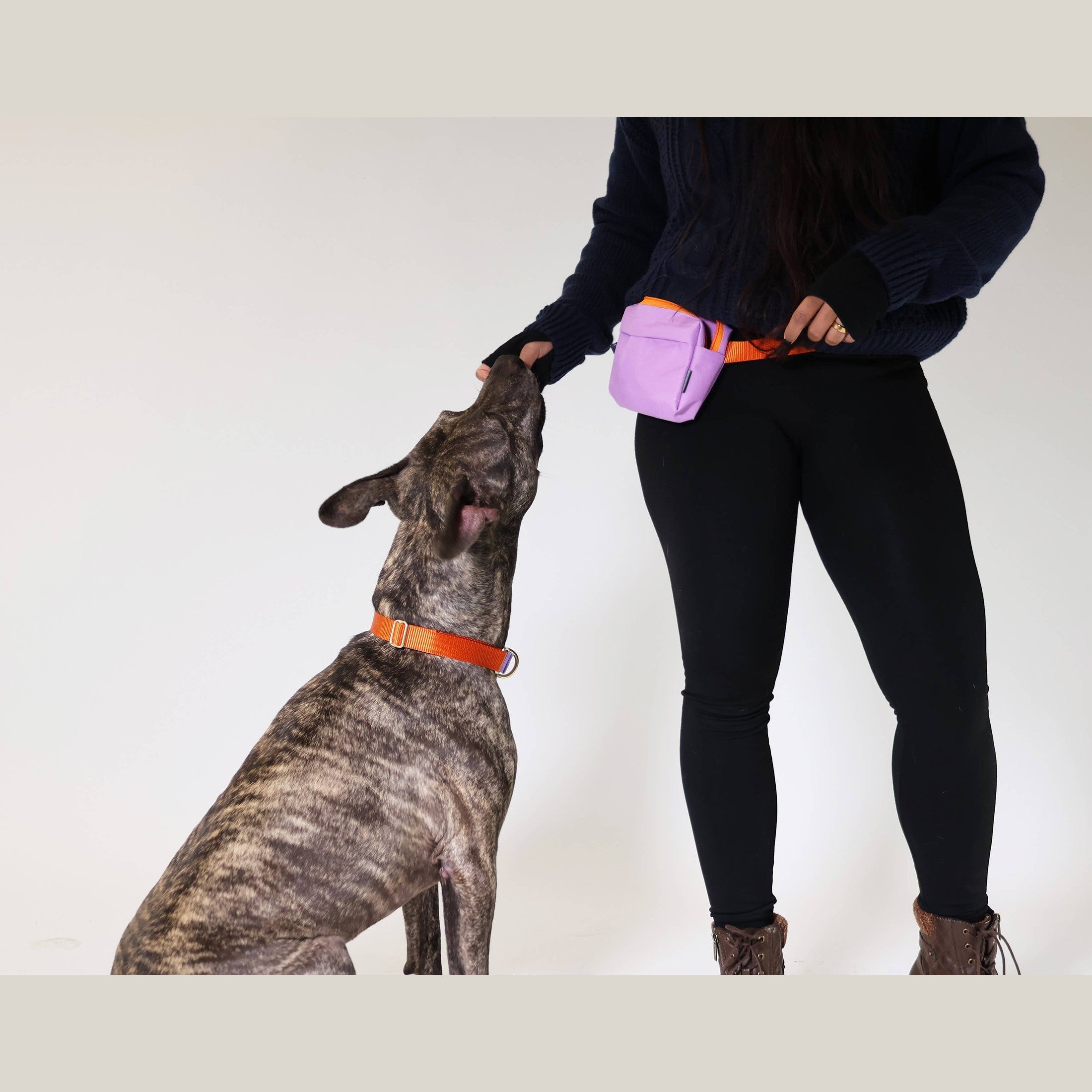 Dog Walking Fanny Pack