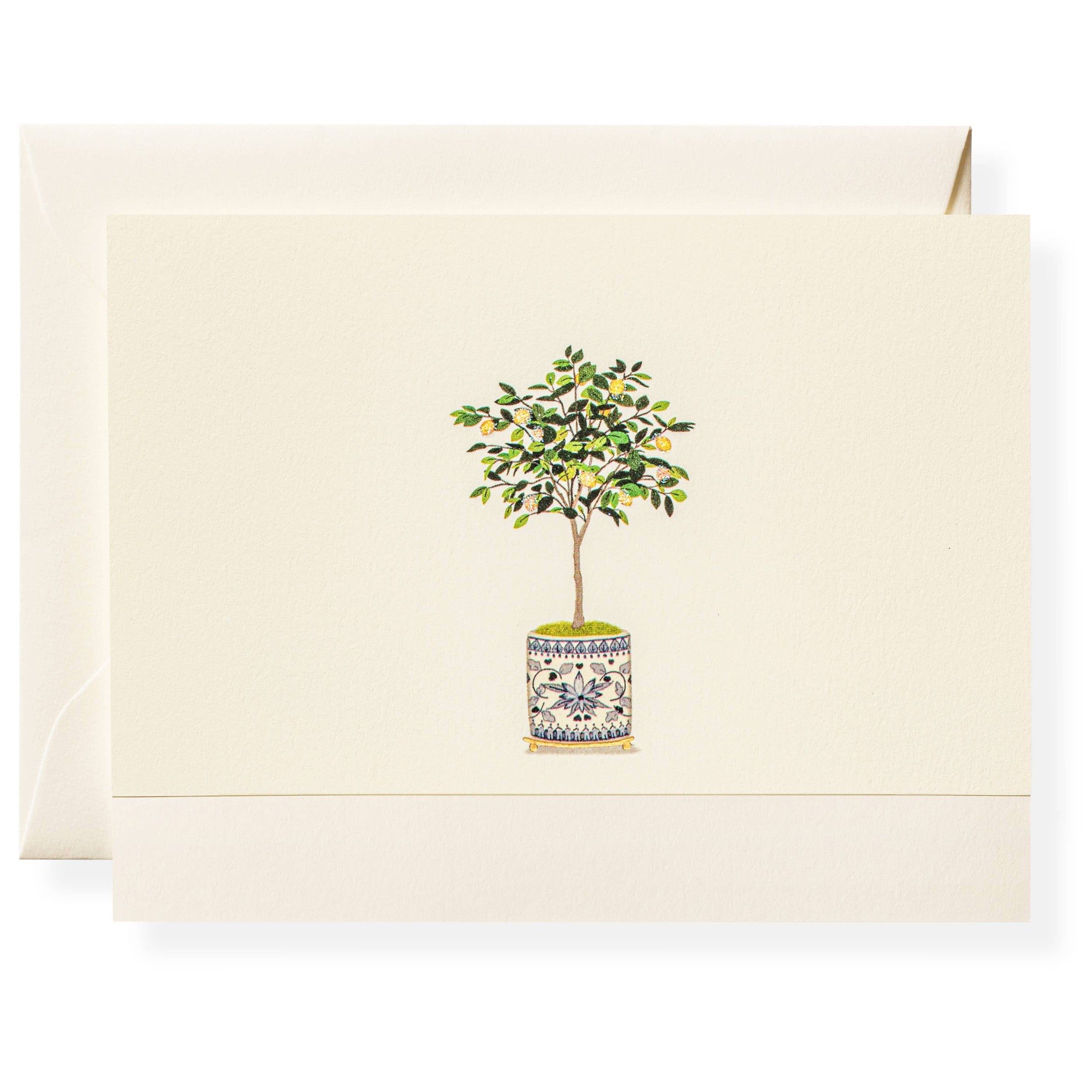 Dolce Vita Note Card Box