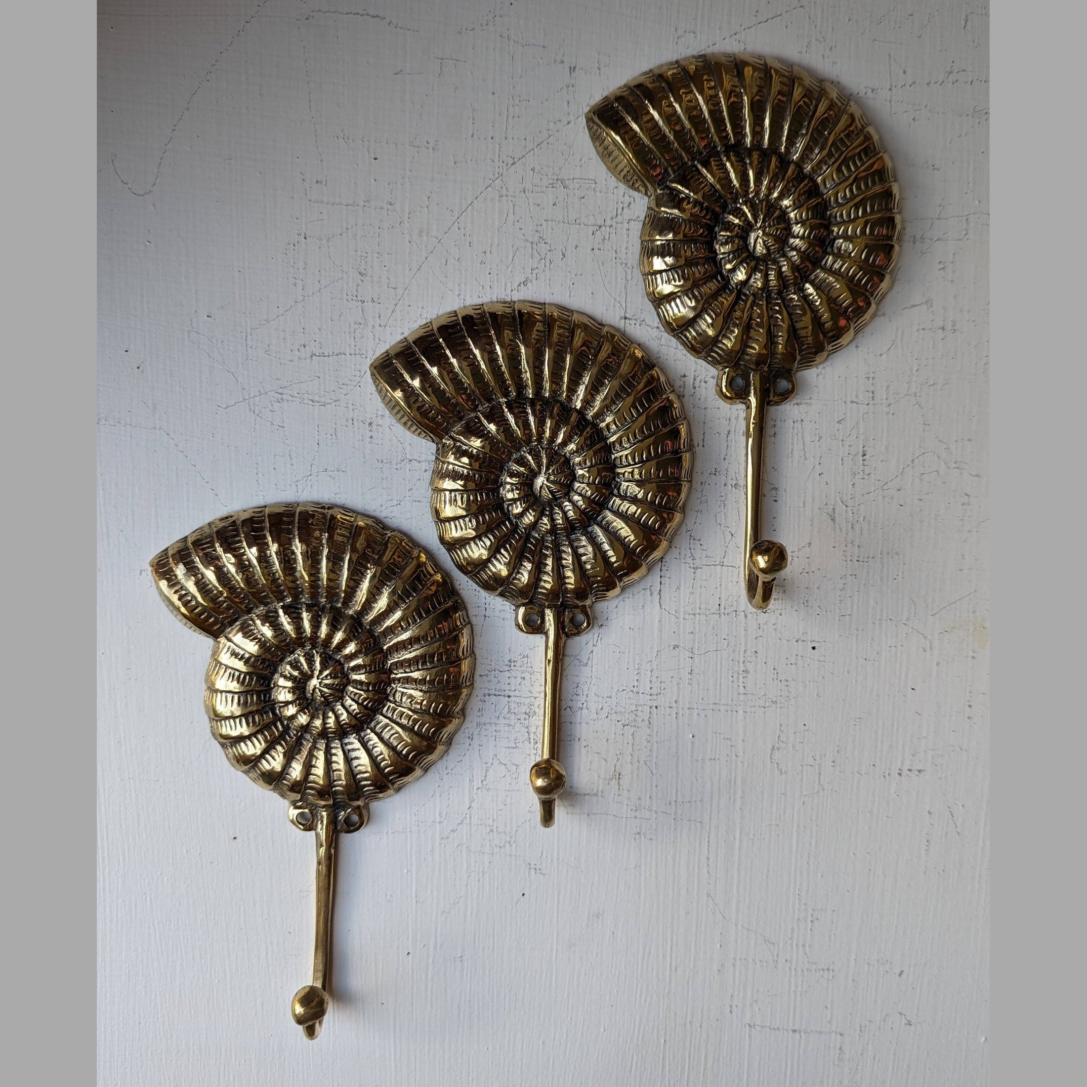 Brass Ammonite Fossil Wall Hook β Coastal Shell Hook, Beach House Bathroom Towel Hanger