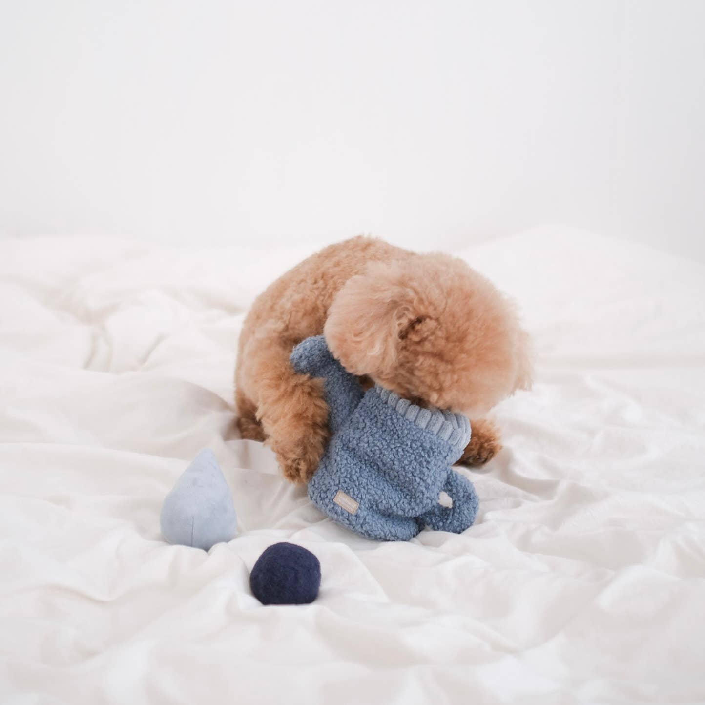 WATERING CAN // ENRICHMENT DOG TOY // Squeaky ball + Snuffle