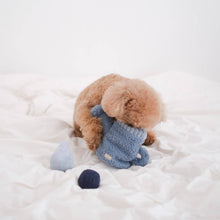 Load image into Gallery viewer, WATERING CAN // ENRICHMENT DOG TOY // Squeaky ball + Snuffle