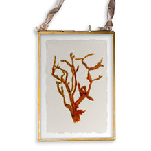 Load image into Gallery viewer, Red Coral