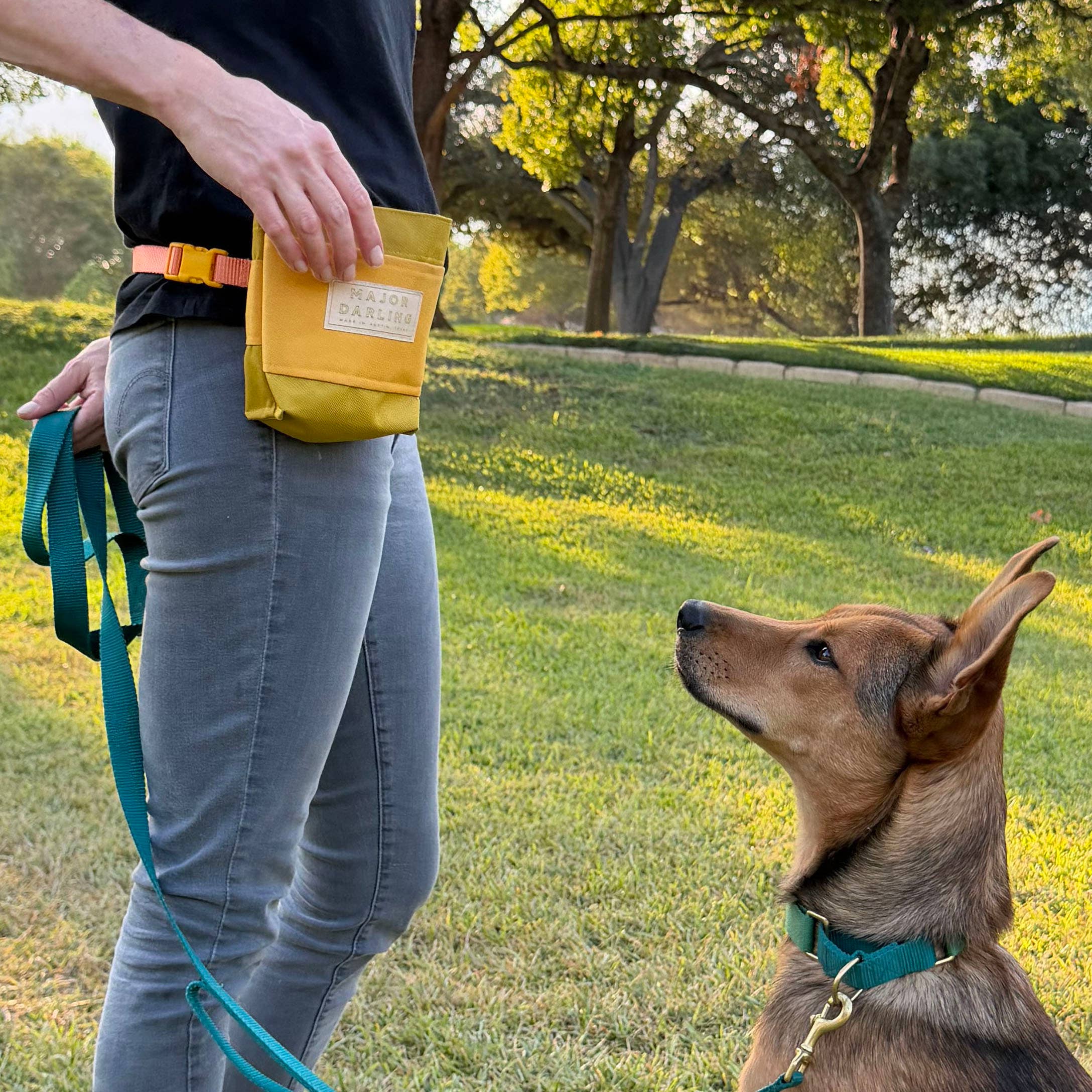Training Treat Pouch