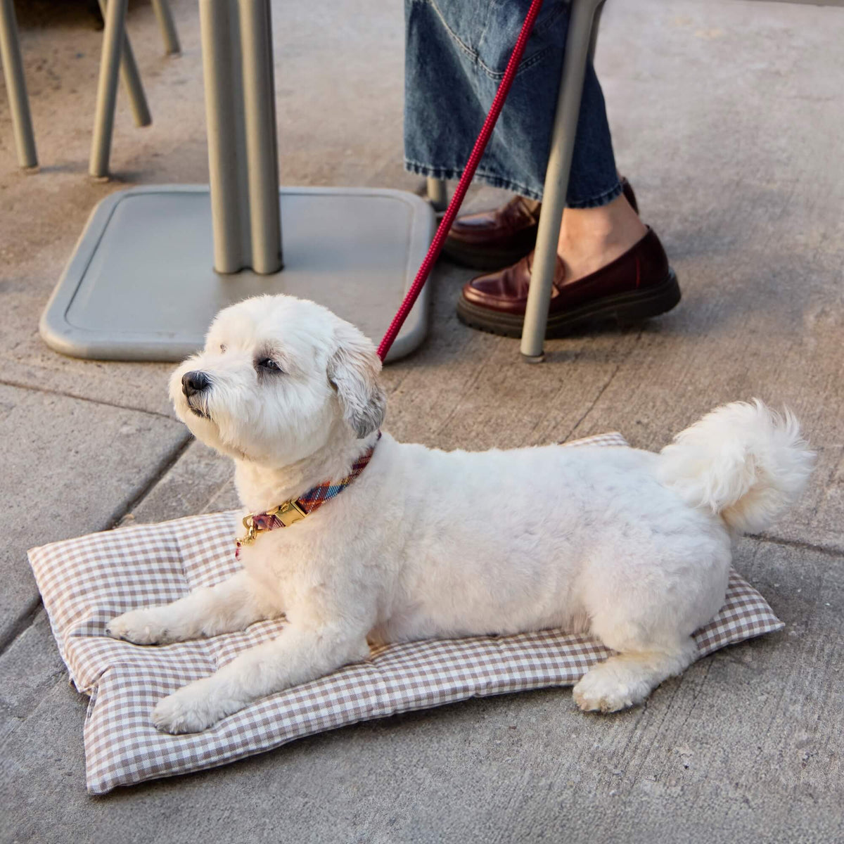 Mushroom Brown Gingham Dog Travel Mat