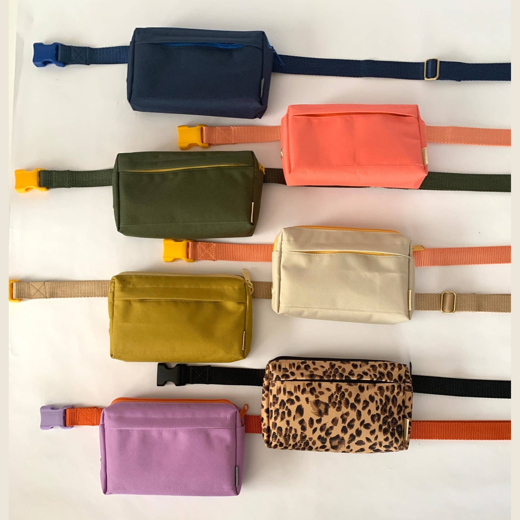 Dog Walking Fanny Pack