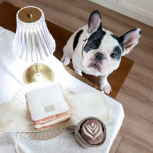 Load image into Gallery viewer, LATTE POP // ENRICHMENT DOG TOY // Squeaky Ball