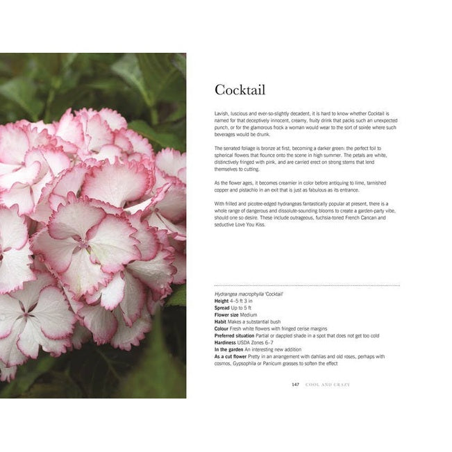 Hydrangeas: Beautiful Varieties for Home & Garden