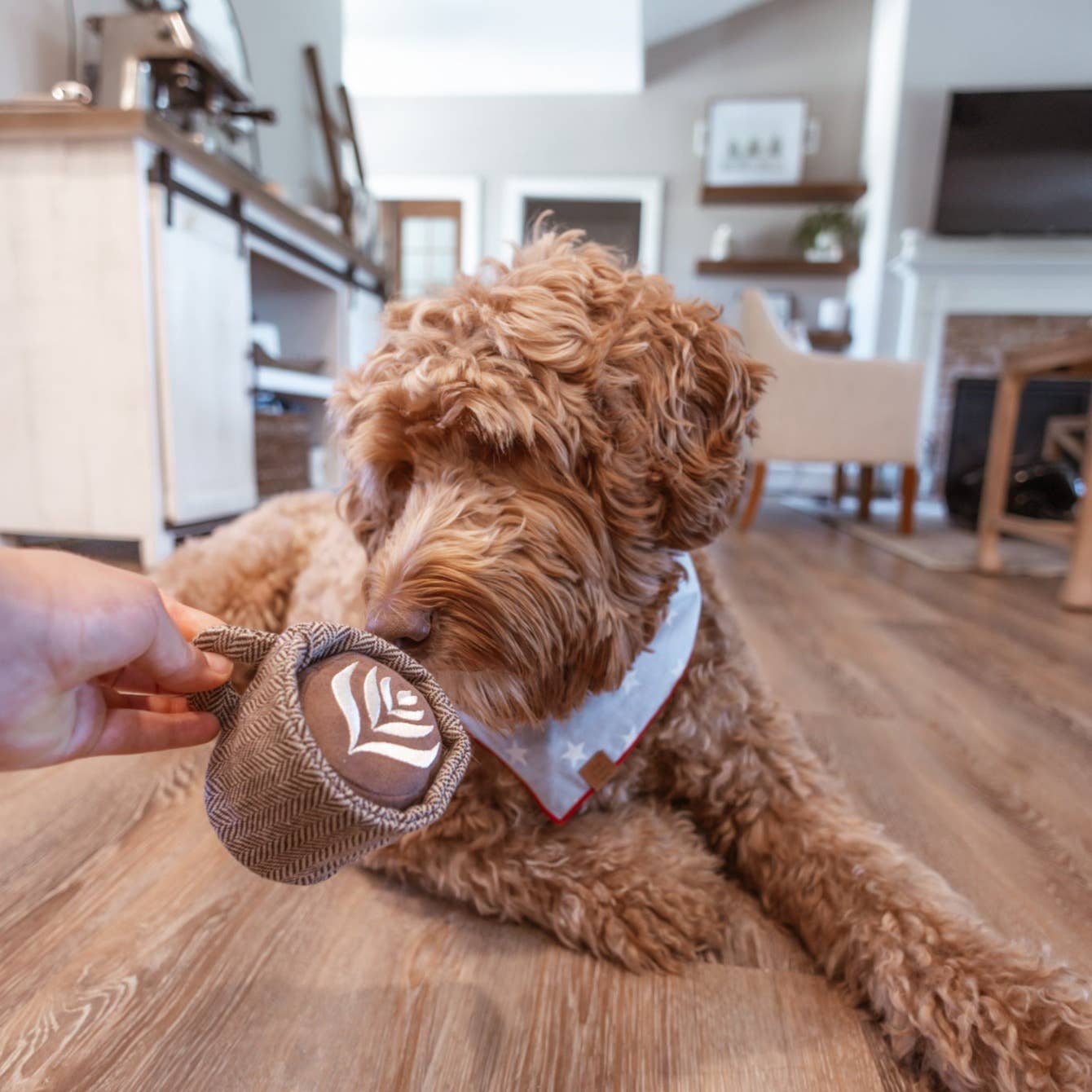 LATTE POP // ENRICHMENT DOG TOY // Squeaky Ball