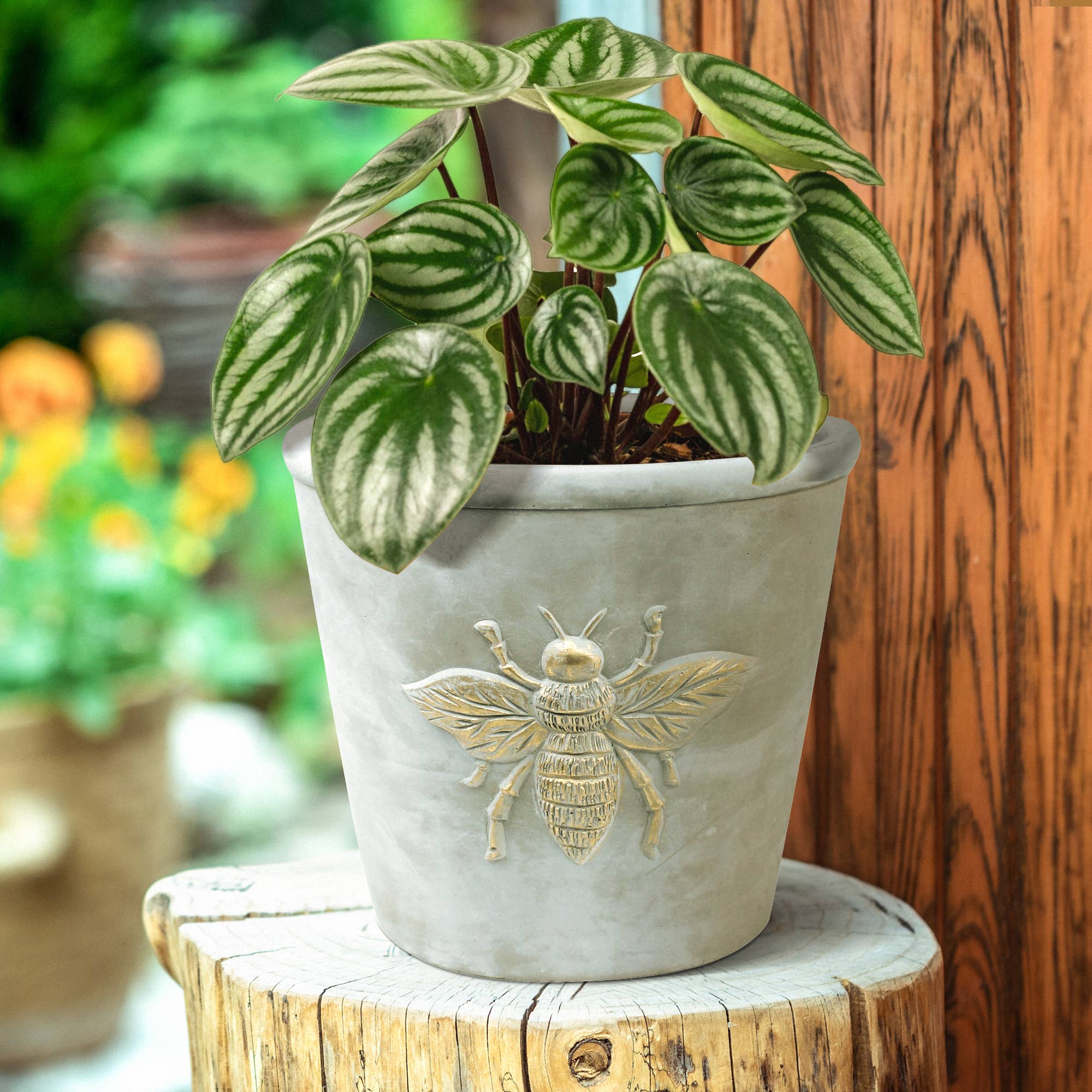 Bee Cachepot, Cement Pottery