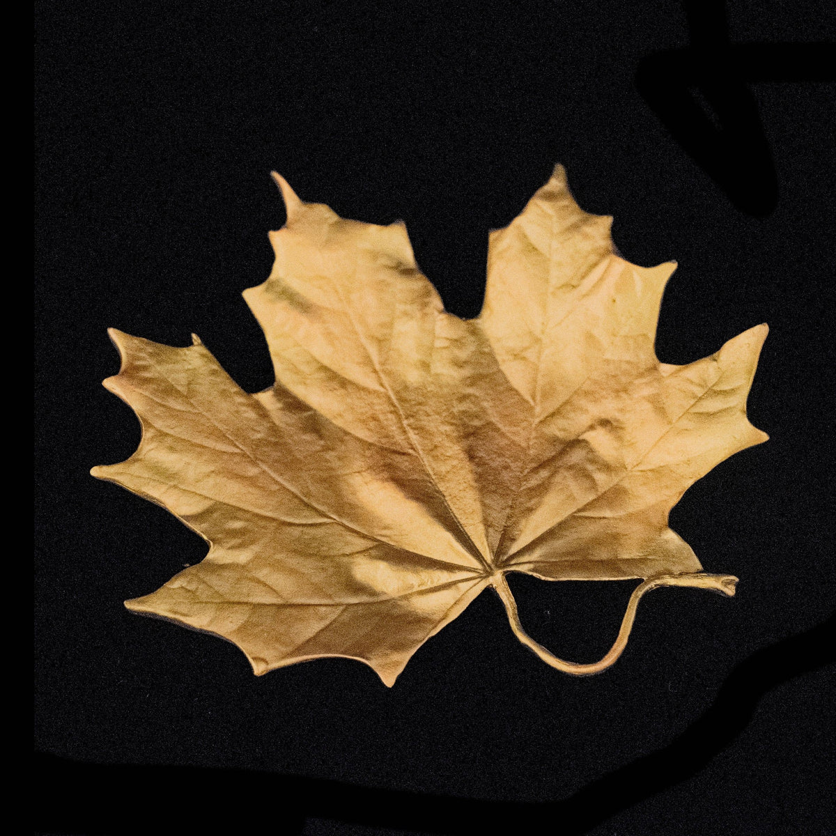 Maple Dish