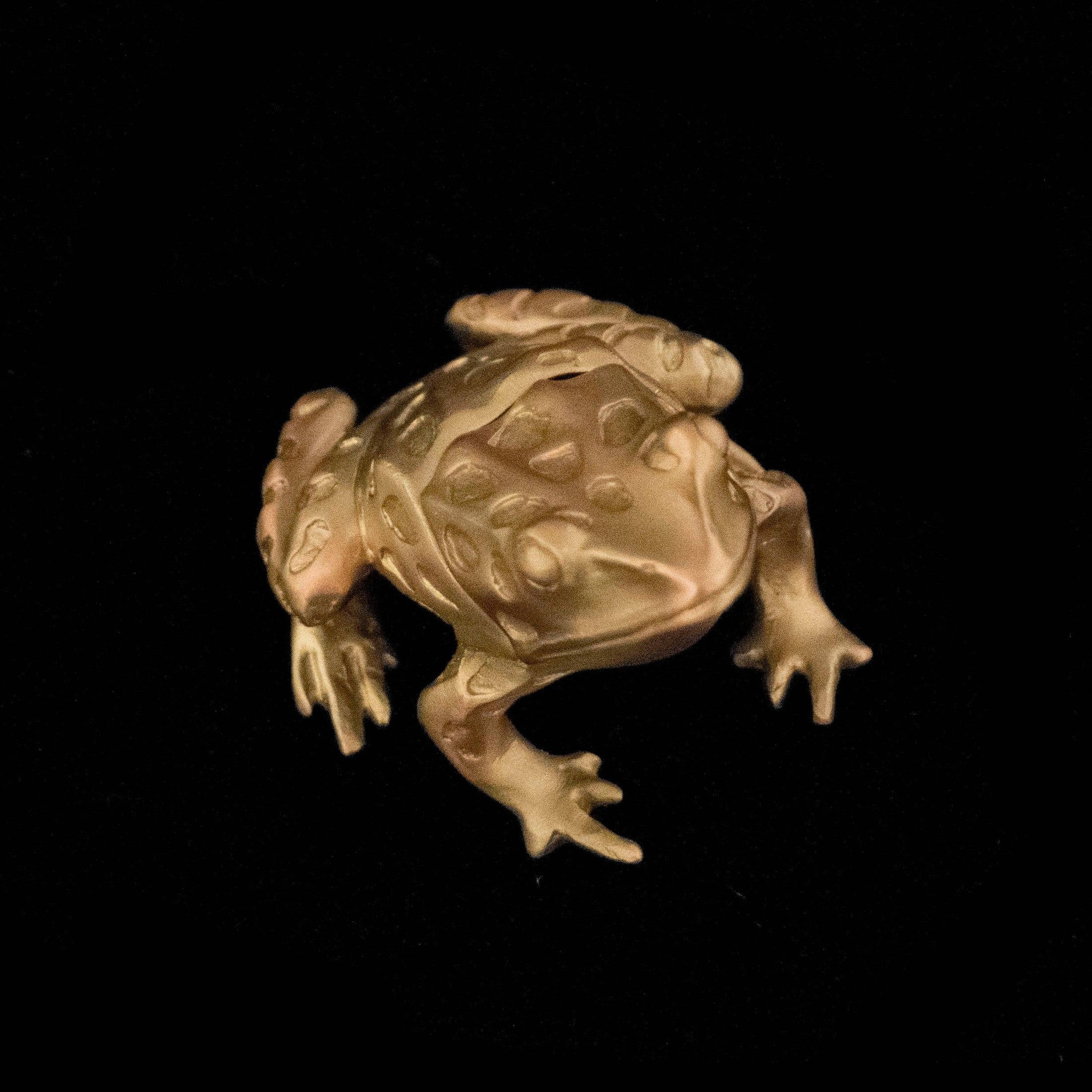 Leopard Frog Box