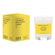 Load image into Gallery viewer, Cirerie Candle - Colombard/Fresh Fig/Citrus 6.3 oz.