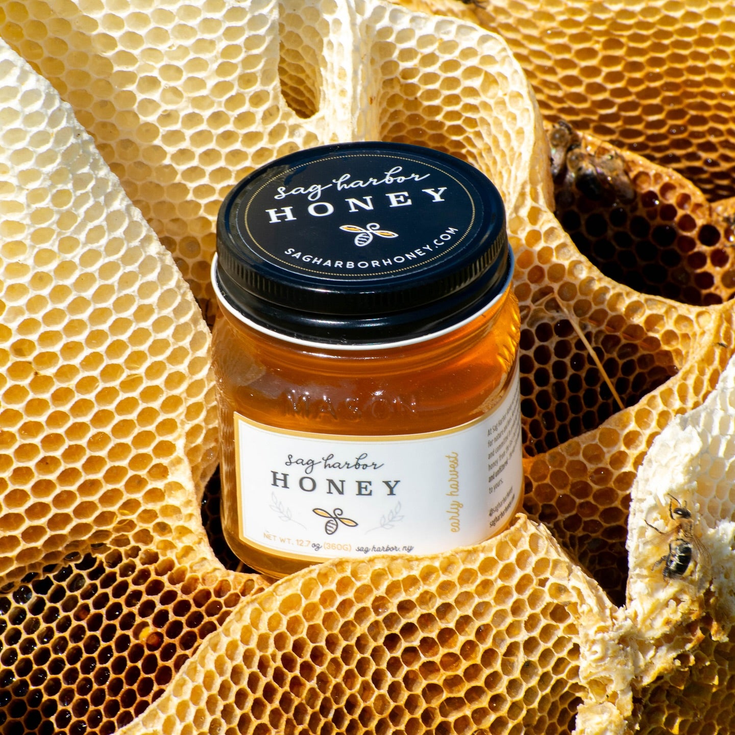 Sag Harbor Honey - New York Wildflower