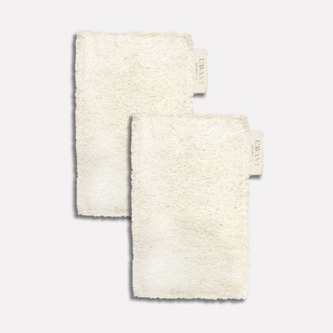 Eco-Friendly Dish Sponges - Set of 2