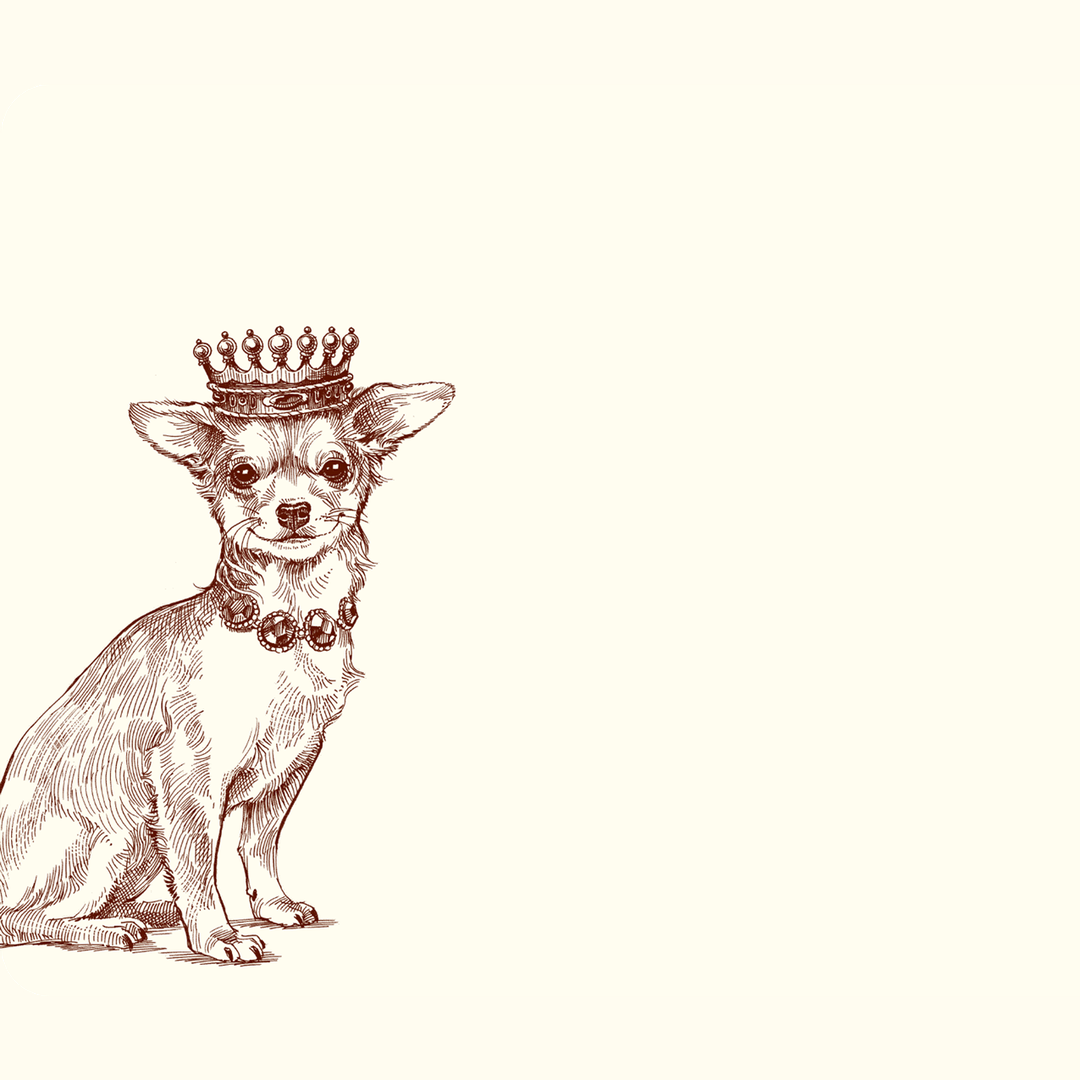 Royal Chihuahua A6 Notes