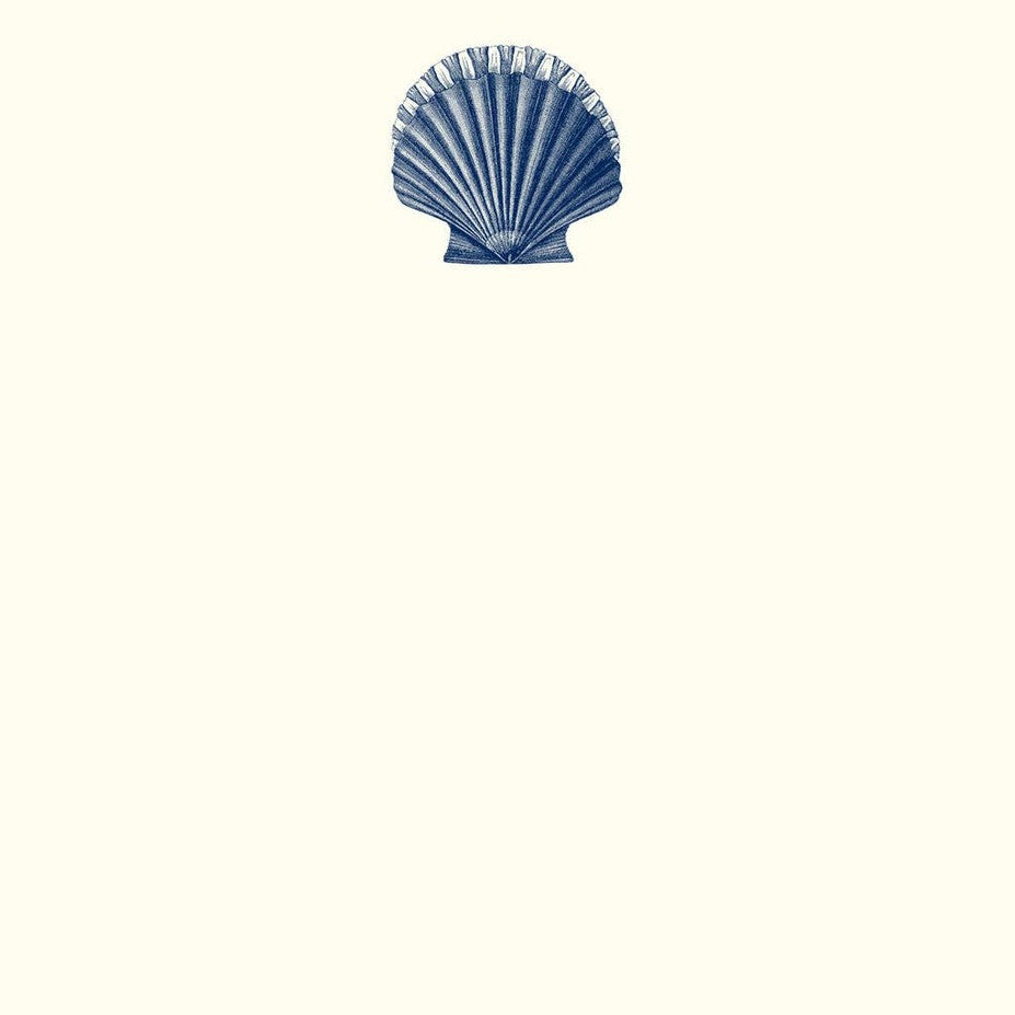Scallop A2 Notes