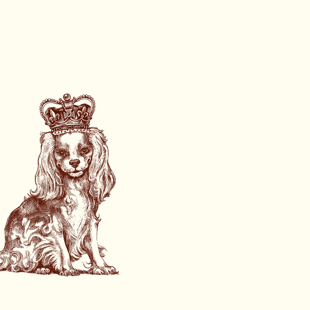 Royal Cavalier King Charles Spaniel A6 Notes