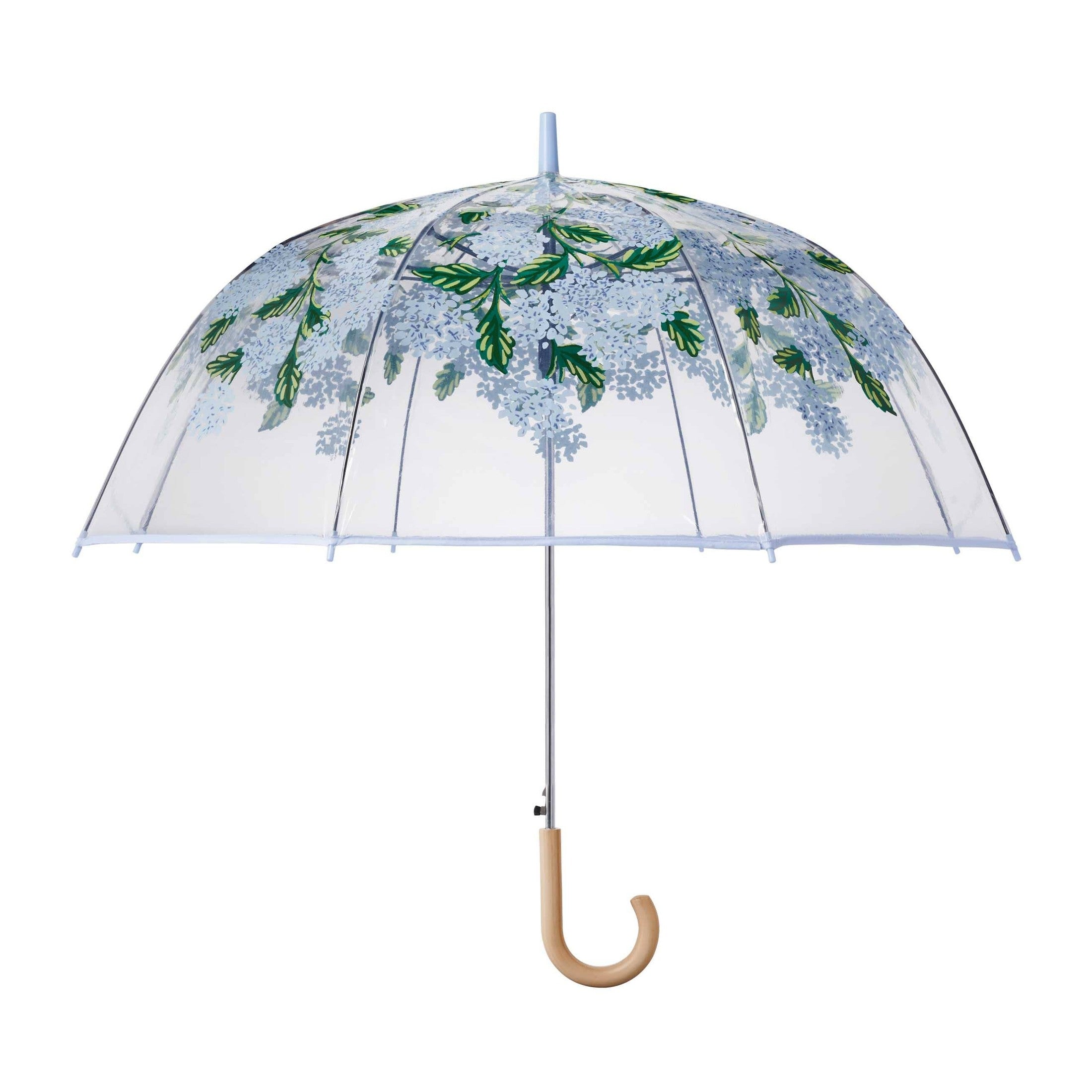 Hydrangea Clear Umbrella