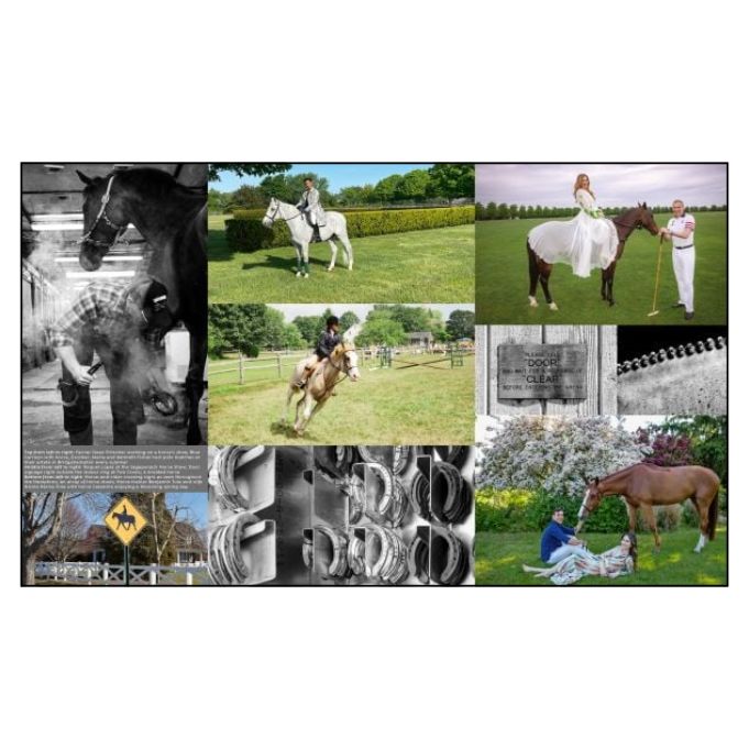 Equestrian Life in the Hamptons Book by Blue Carreon