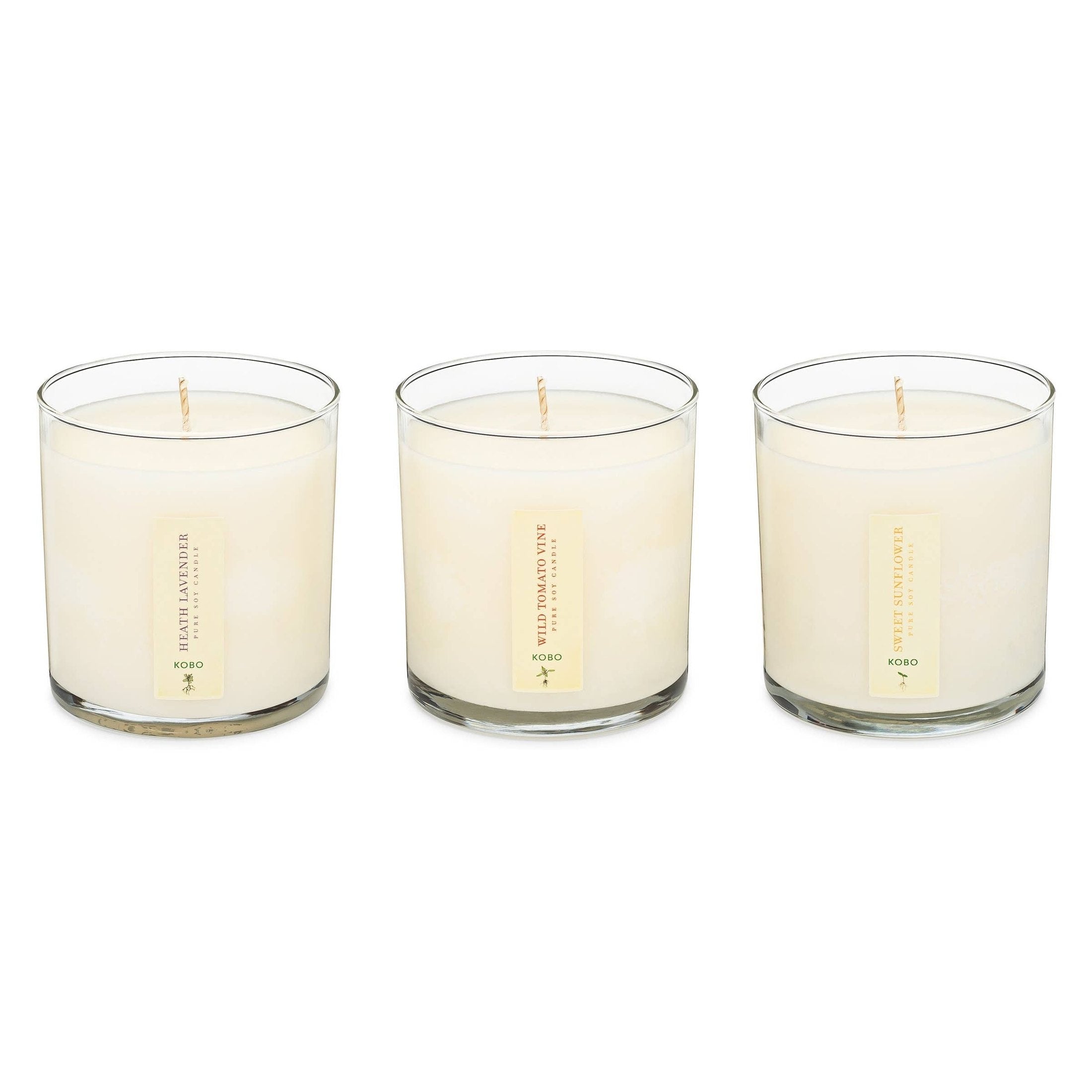 Plant the Box Votive Candle Trio