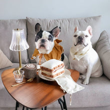 Load image into Gallery viewer, LATTE POP // ENRICHMENT DOG TOY // Squeaky Ball