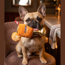 Load image into Gallery viewer, Apawrol Spritz Squeaker Dog Toy