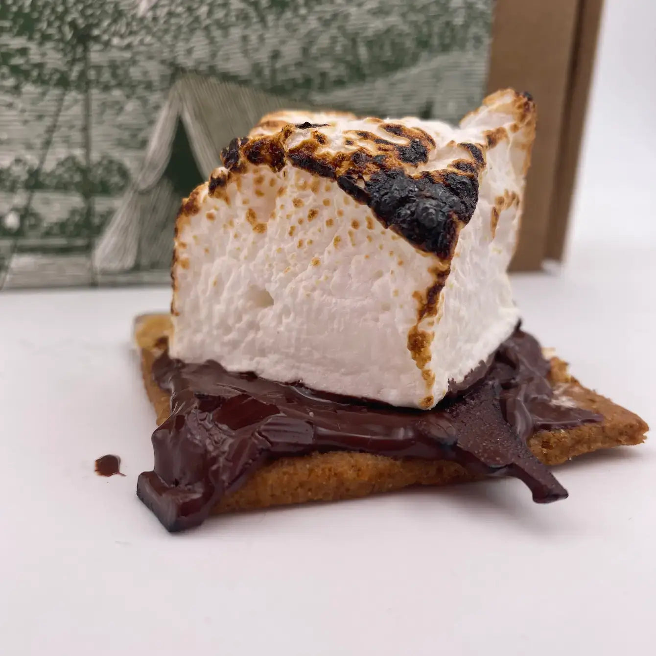 Campfire S'mores for 4