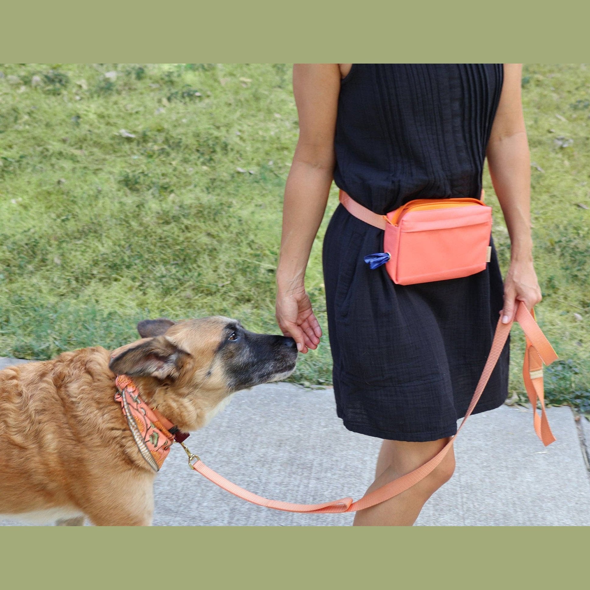 Dog Walking Fanny Pack