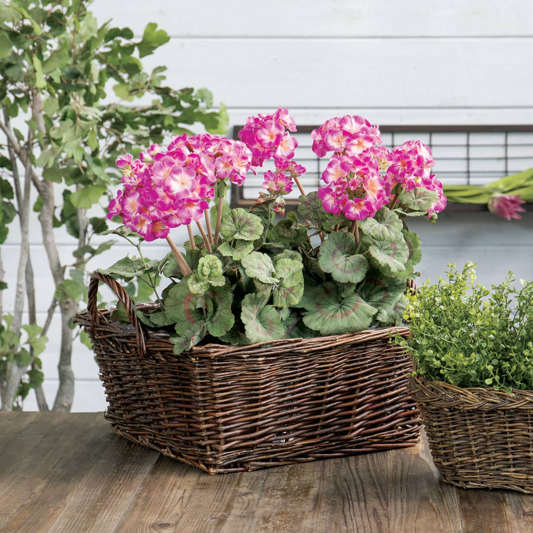 SQ RUSTIC WILLOW TRAY SH