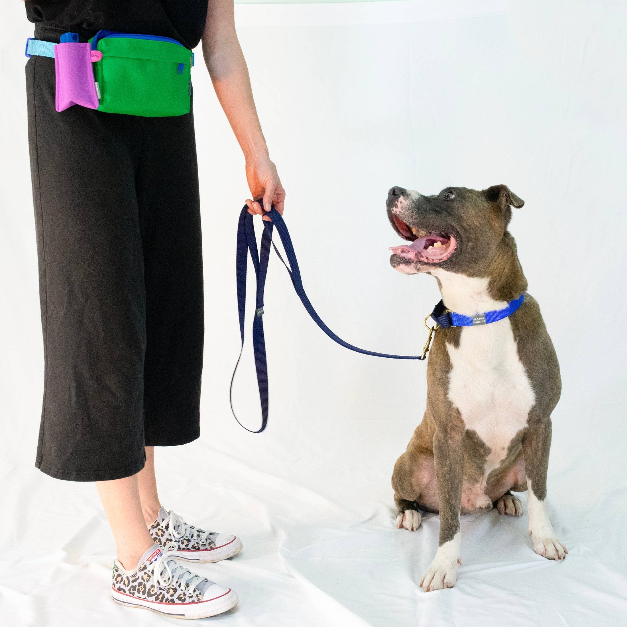 Dog Walking Fanny Pack