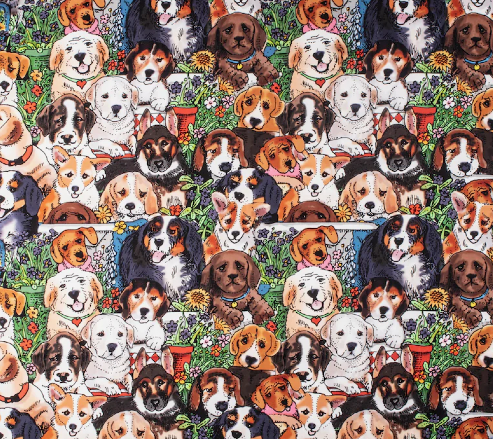 Dog Supplies