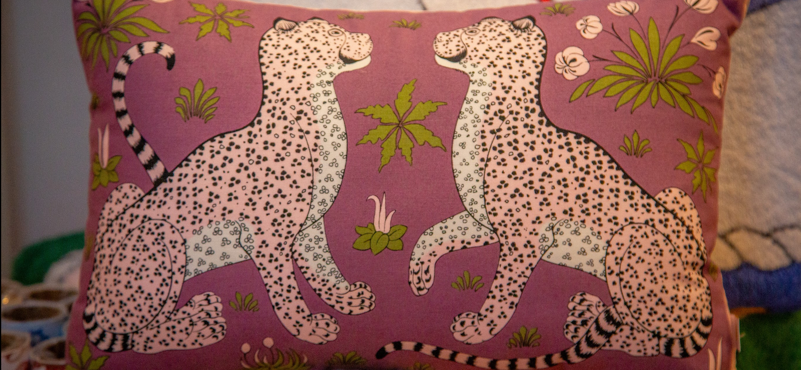 Cat Supplies