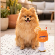 Load image into Gallery viewer, Apawrol Spritz Squeaker Dog Toy
