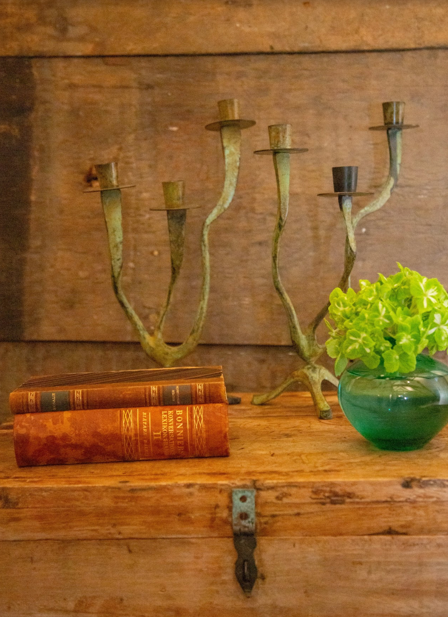 Modern Rustic Elegance