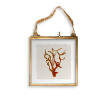Load image into Gallery viewer, Red Coral
