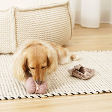 Load image into Gallery viewer, PETITE TWO // ENRICHMENT DOG TOY // snuffle + burrow Set
