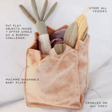 Load image into Gallery viewer, FARMER'S MARKET SET // ENRICHMENT TOY SET// SNUFFLE TOY SET

