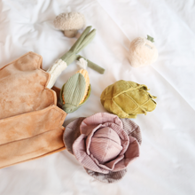 Load image into Gallery viewer, FARMER'S MARKET SET // ENRICHMENT TOY SET// SNUFFLE TOY SET
