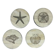 Load image into Gallery viewer, Seashell Scrimshaw Bone Coasters (Set of 4) | Barware
