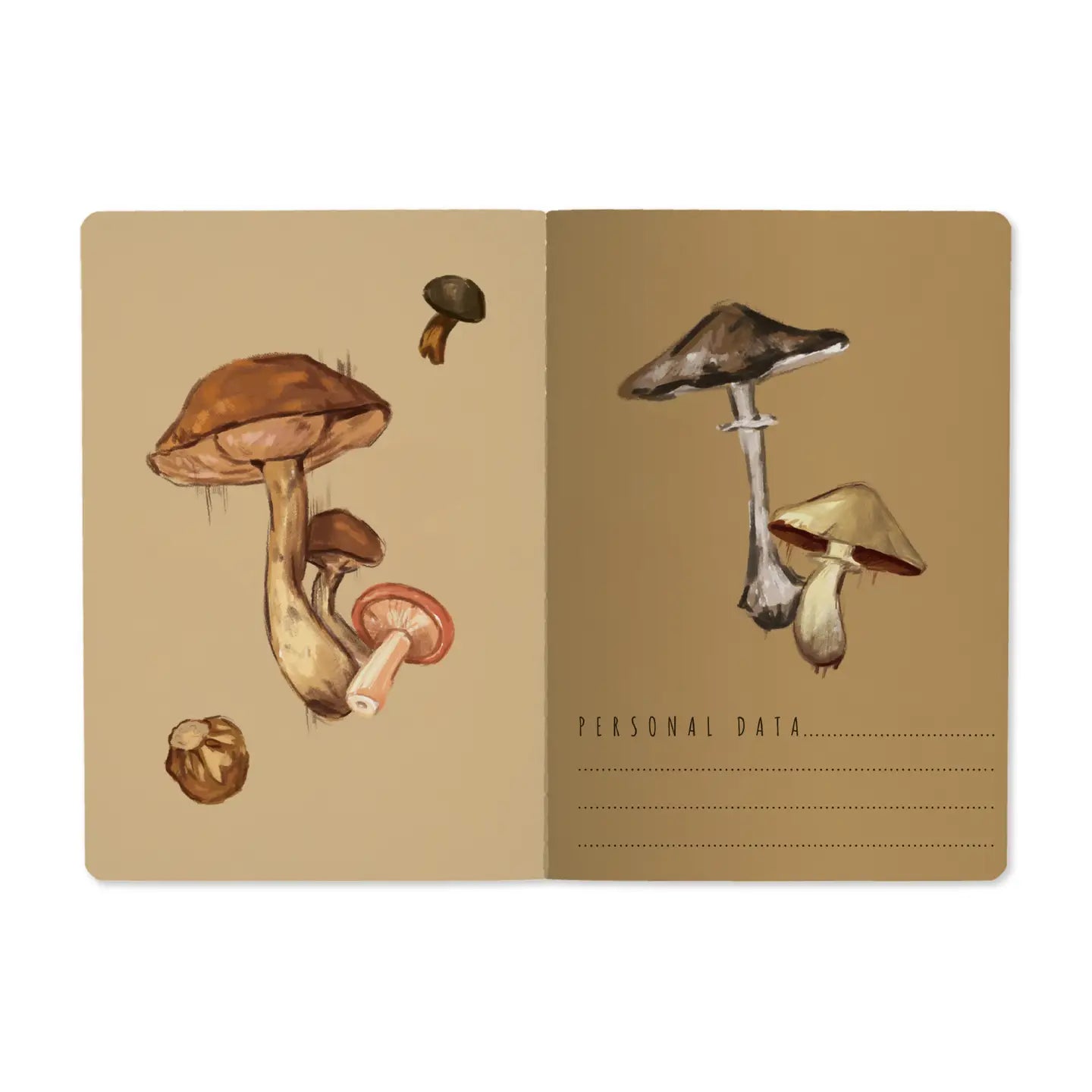 BV Notebook Mushrooms on White