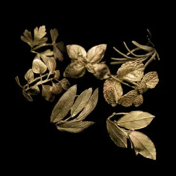 Michael Michaud Table Art - Herb 8 Assorted Napkin Rings