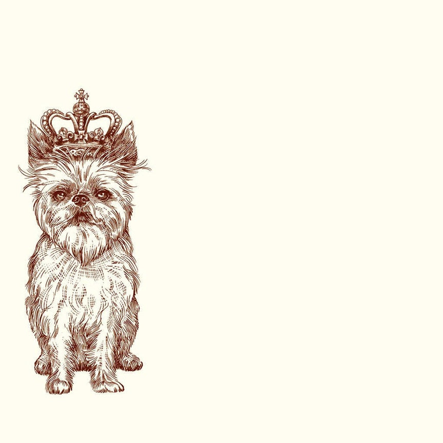 Royal Brussels Griffon A6 Notes