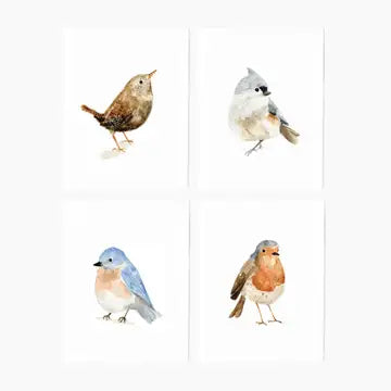 Set of 8 Bird Notecards
