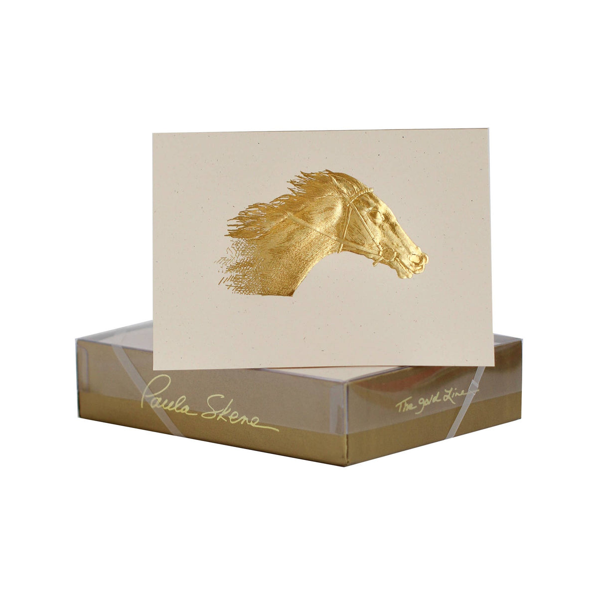 Horse Blank Card